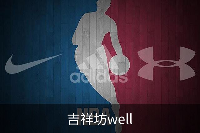 吉祥坊well公司简介